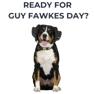 Ready for Guy Fawkes Day?